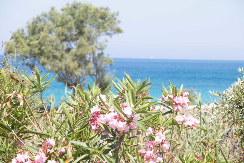 Villa Yialos Antiparos by Eksteriør billede